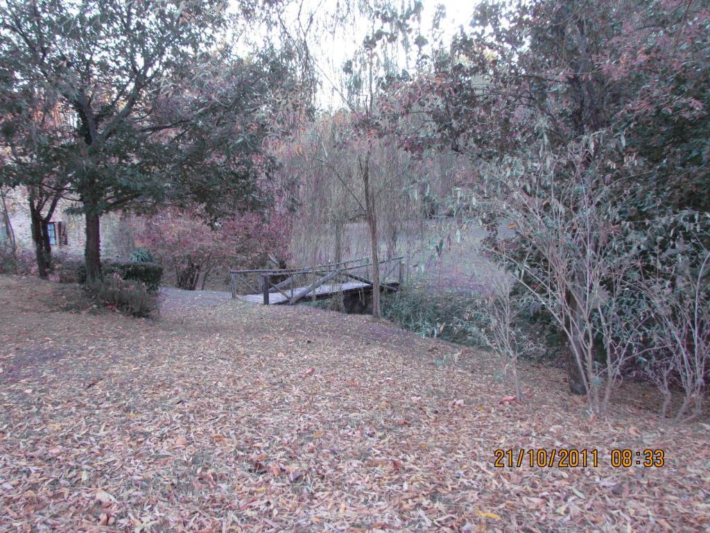 Agriturismo Il Mulino Delle Pile Chiusdino Exterior foto