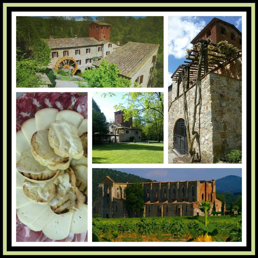 Agriturismo Il Mulino Delle Pile Chiusdino Exterior foto