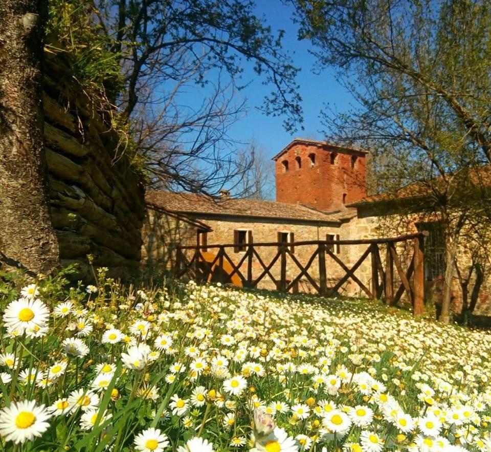 Agriturismo Il Mulino Delle Pile Chiusdino Exterior foto